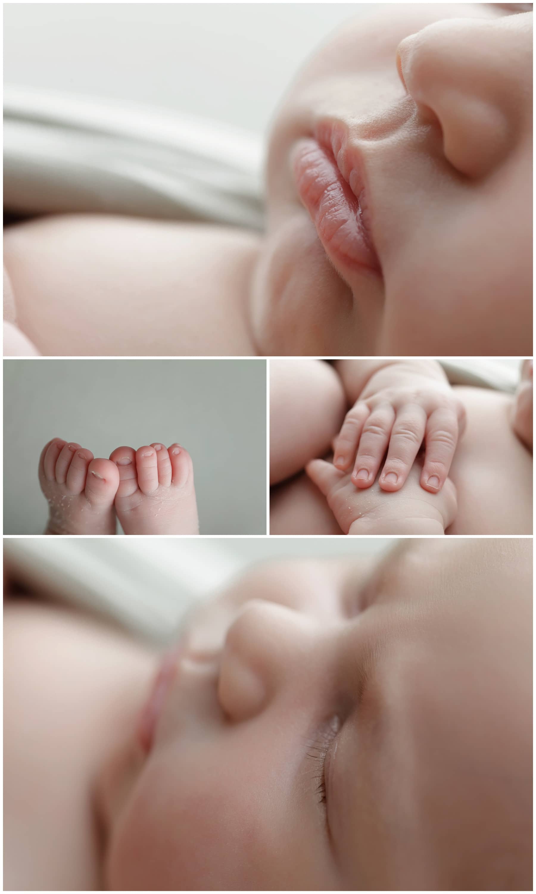 Jax Baby Photographer | 8.08 Photography | www.808photographyjax.com