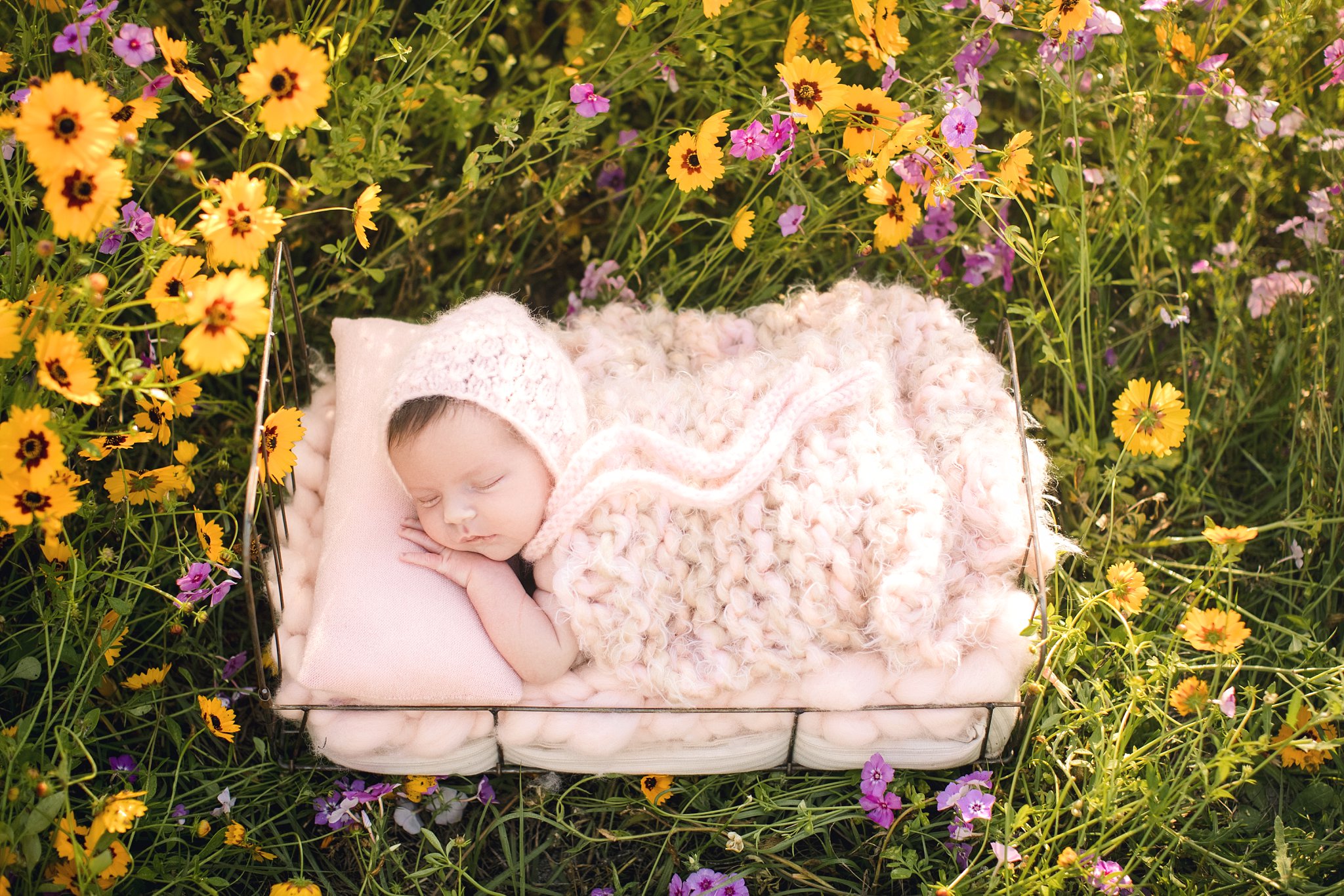 Outdoor Newborn Photographer Jacksonville Fl baby sleeping field of yellow and purple flowers soft fuzzy blush blanket and bonnet