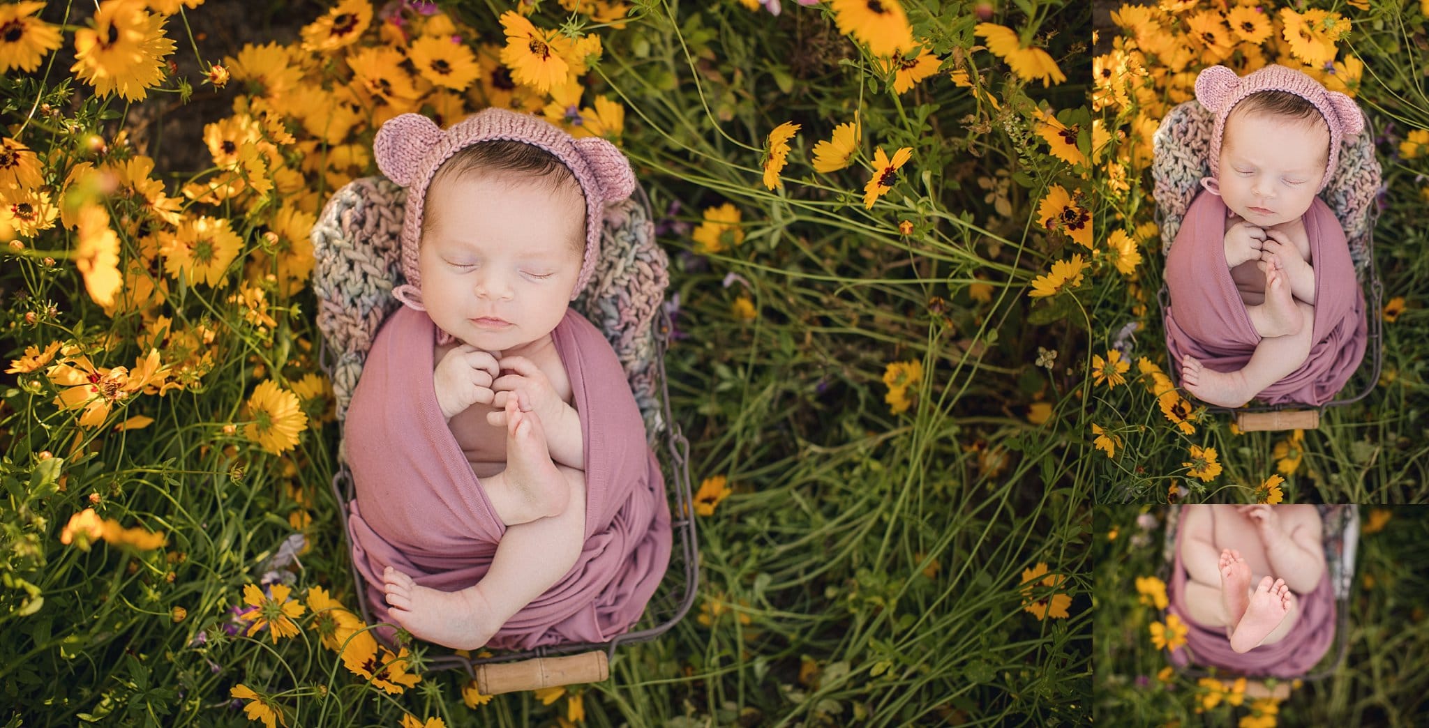 Outdoor Newborn Photographer Jacksonville Fl baby sleeping field of yellow and purple flowers mauve swaddle and teddy bear bonnet