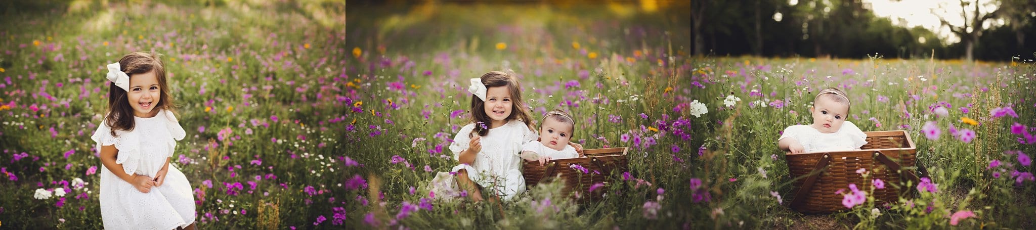 little girl and baby sister.Hampton Flower Field Jacksonville Fl beautiful field of purple and yellow flowers
