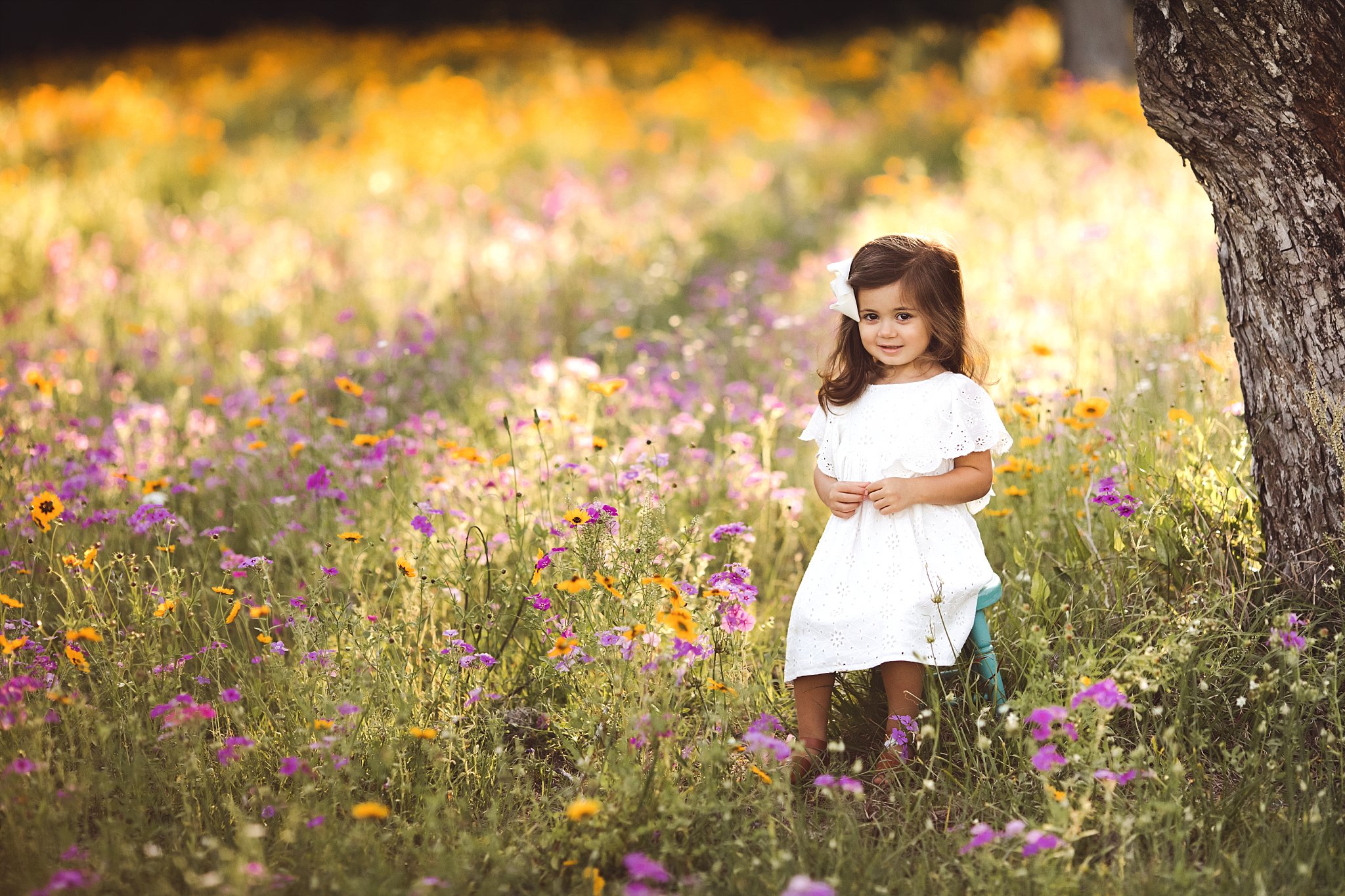little girl on stool Hampton Flower Field Jacksonville Fl beautiful field of purple and yellow flowers