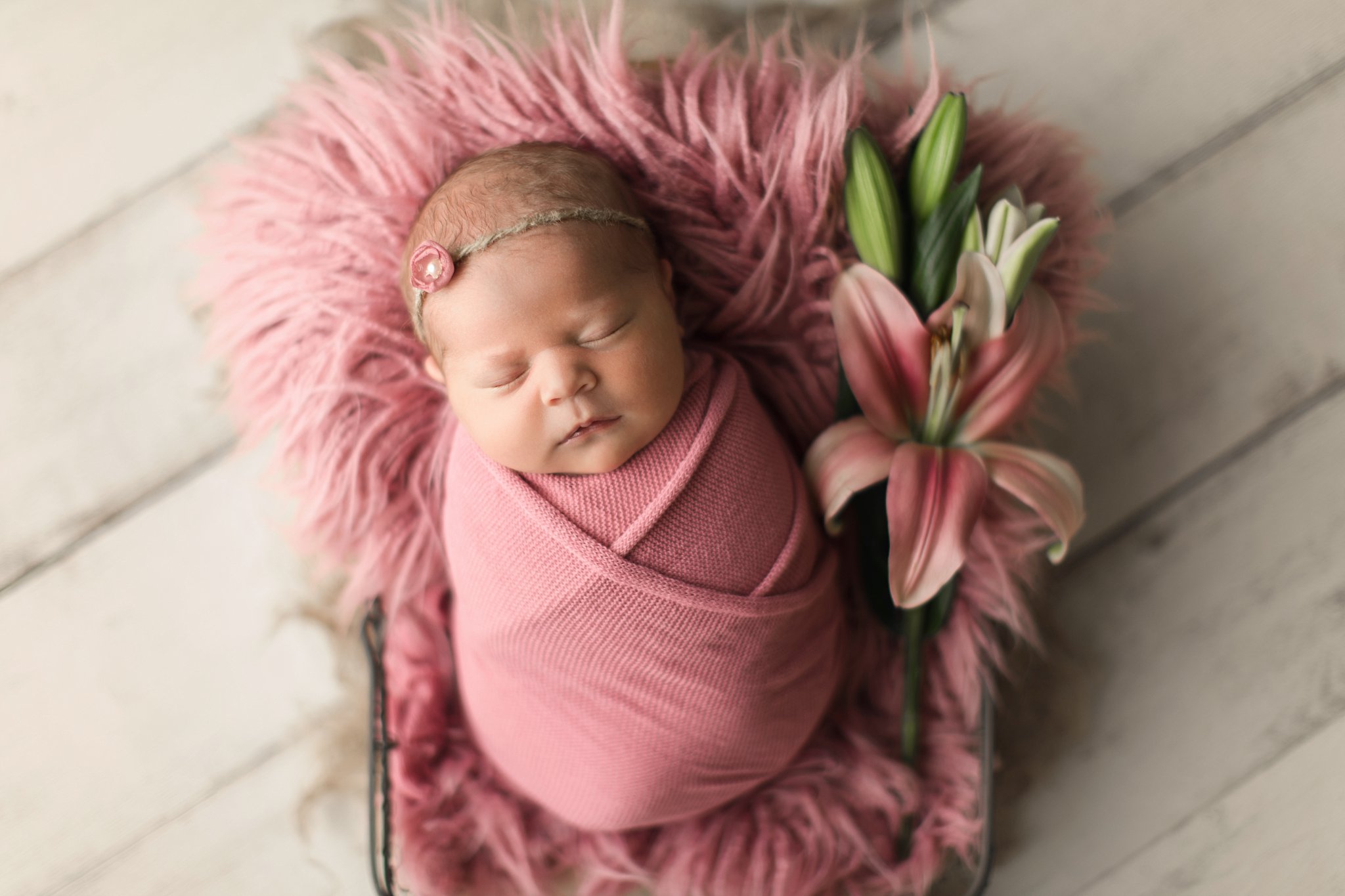 newborn baby girl swaddled and sleeping in basket with pink fur and pink flower