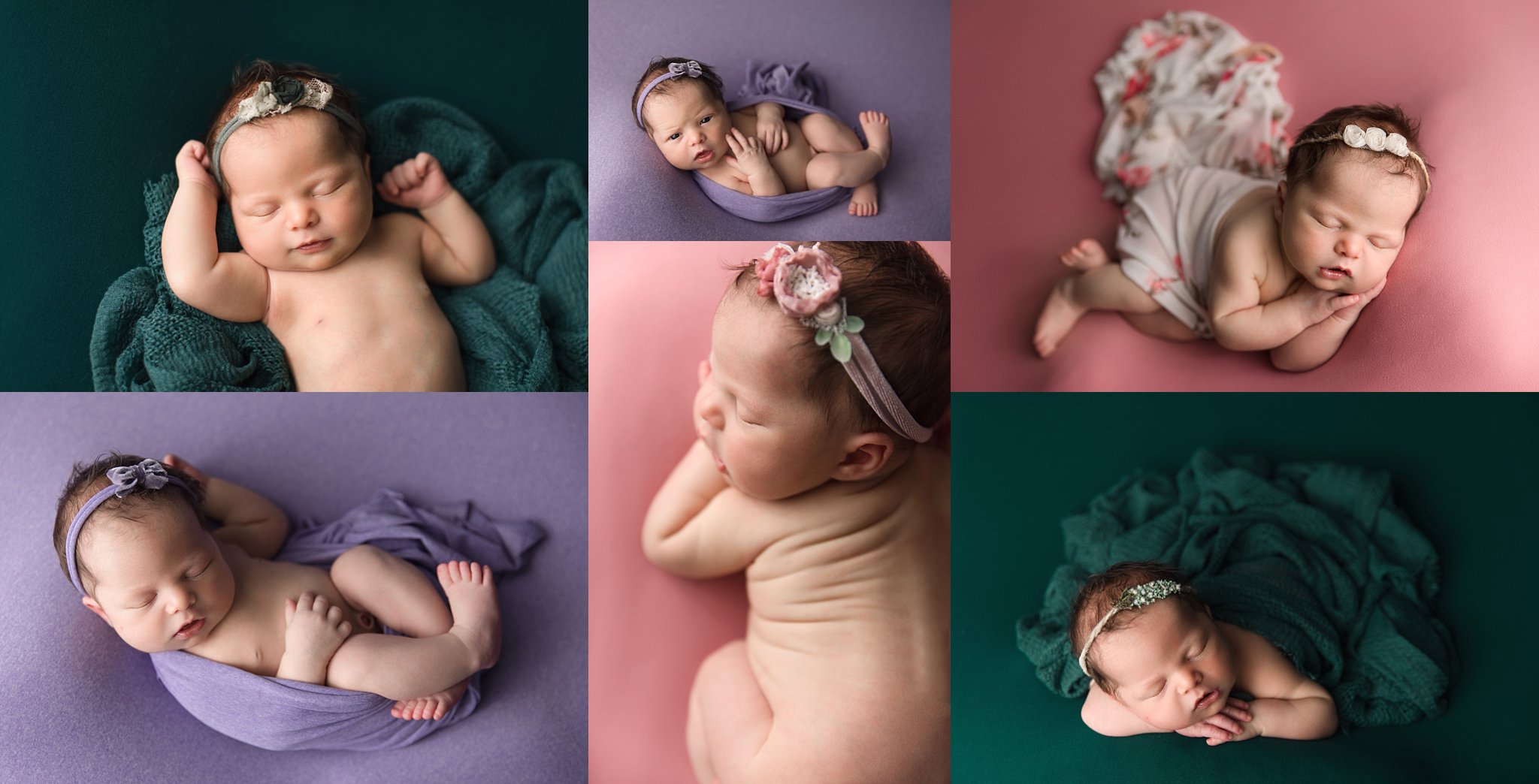 Bright color background newborn photoshoot
