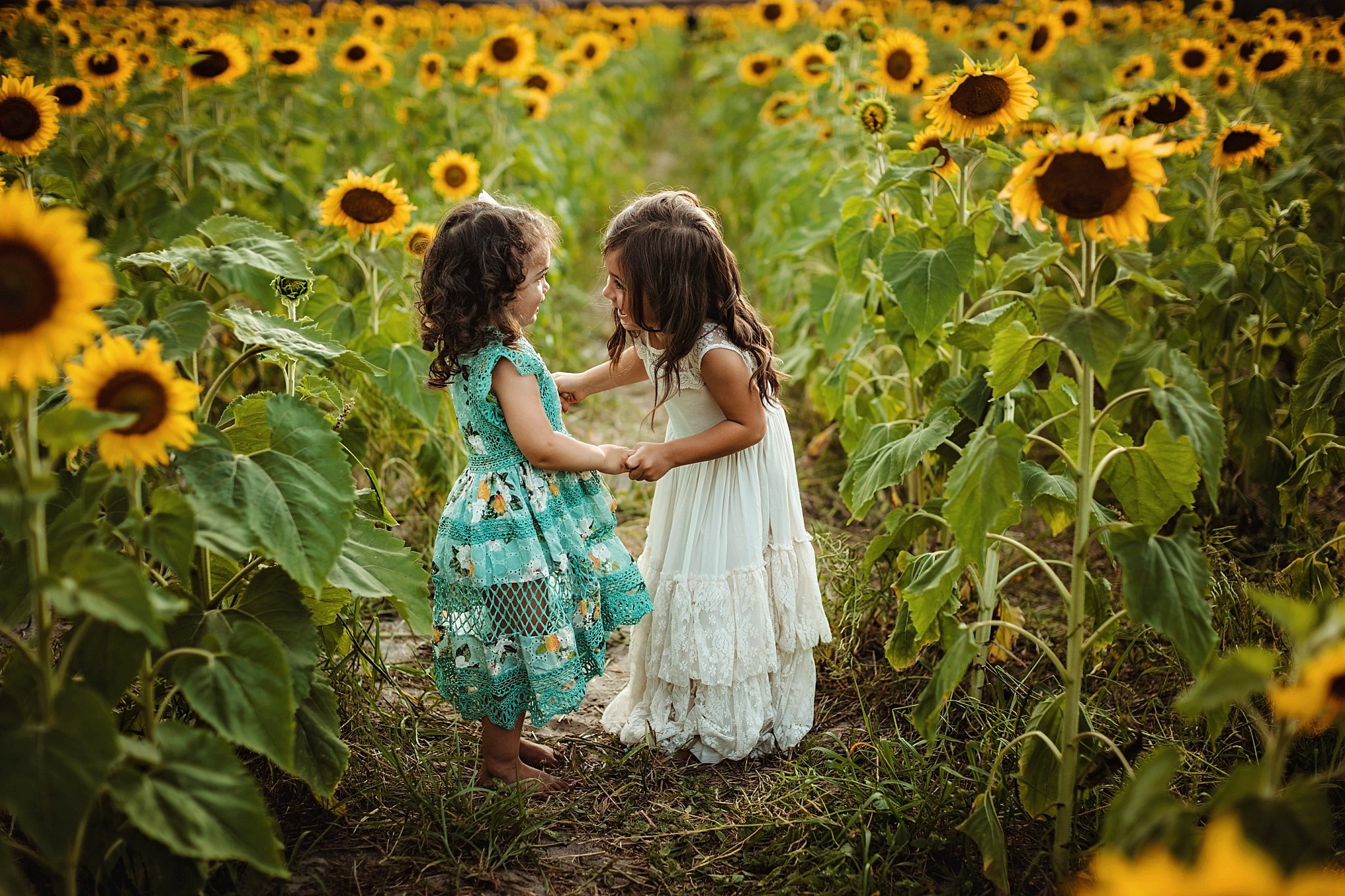 Sunflower Photography Session in NE Florida 2 beautiful sisters in sunlit sunflower field 