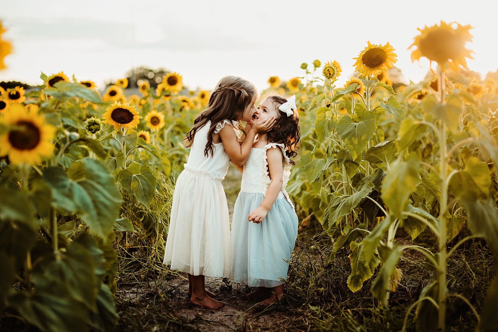 Sunflower Photography Session in NE Florida 2 beautiful sisters in sunlit sunflower field 