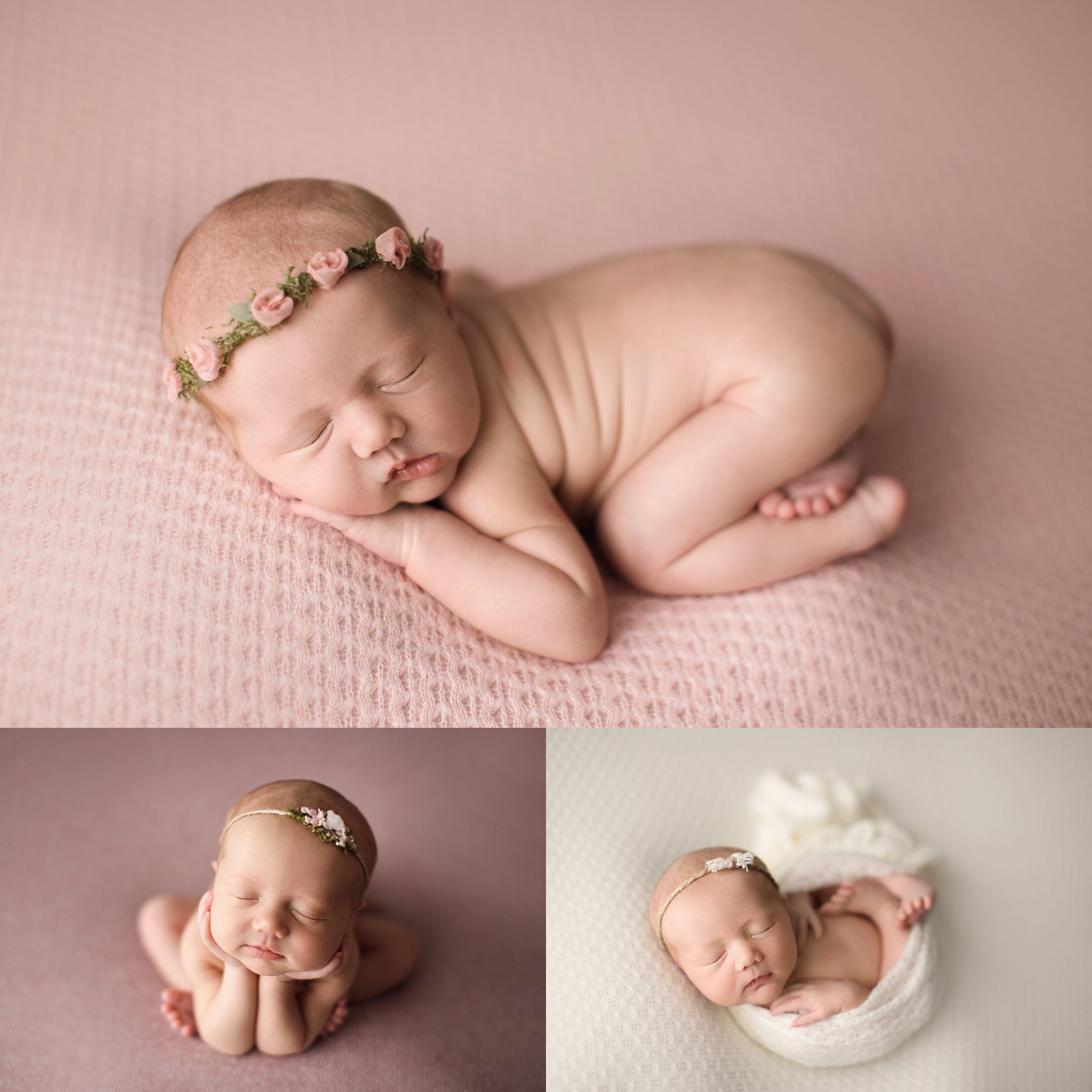 mini rosebud baby headband gainesville newborn photographer
