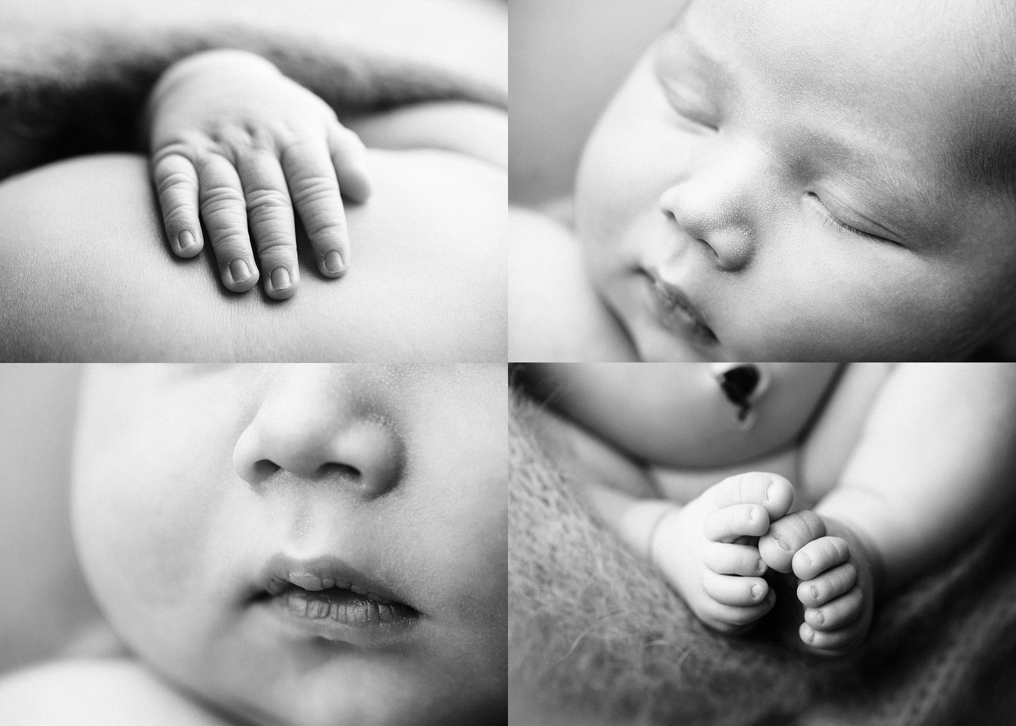 black and white newborn photography details macro
