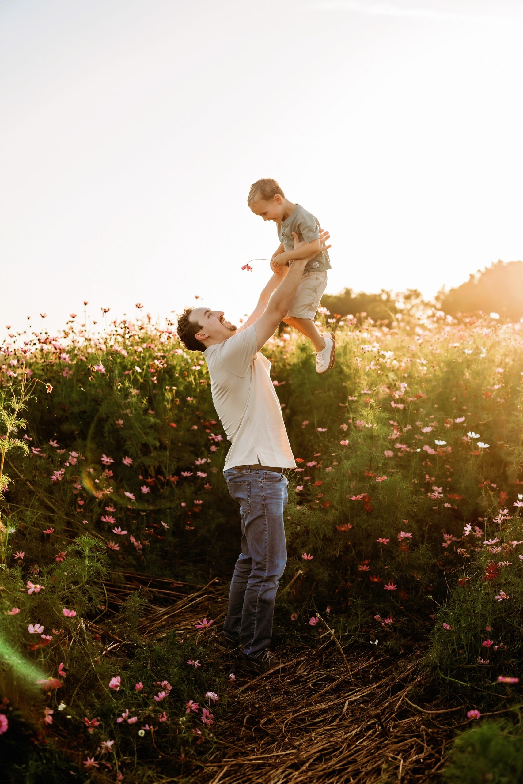 Father lifting his young son into the air among tall pink wildflowers in golden evening light.