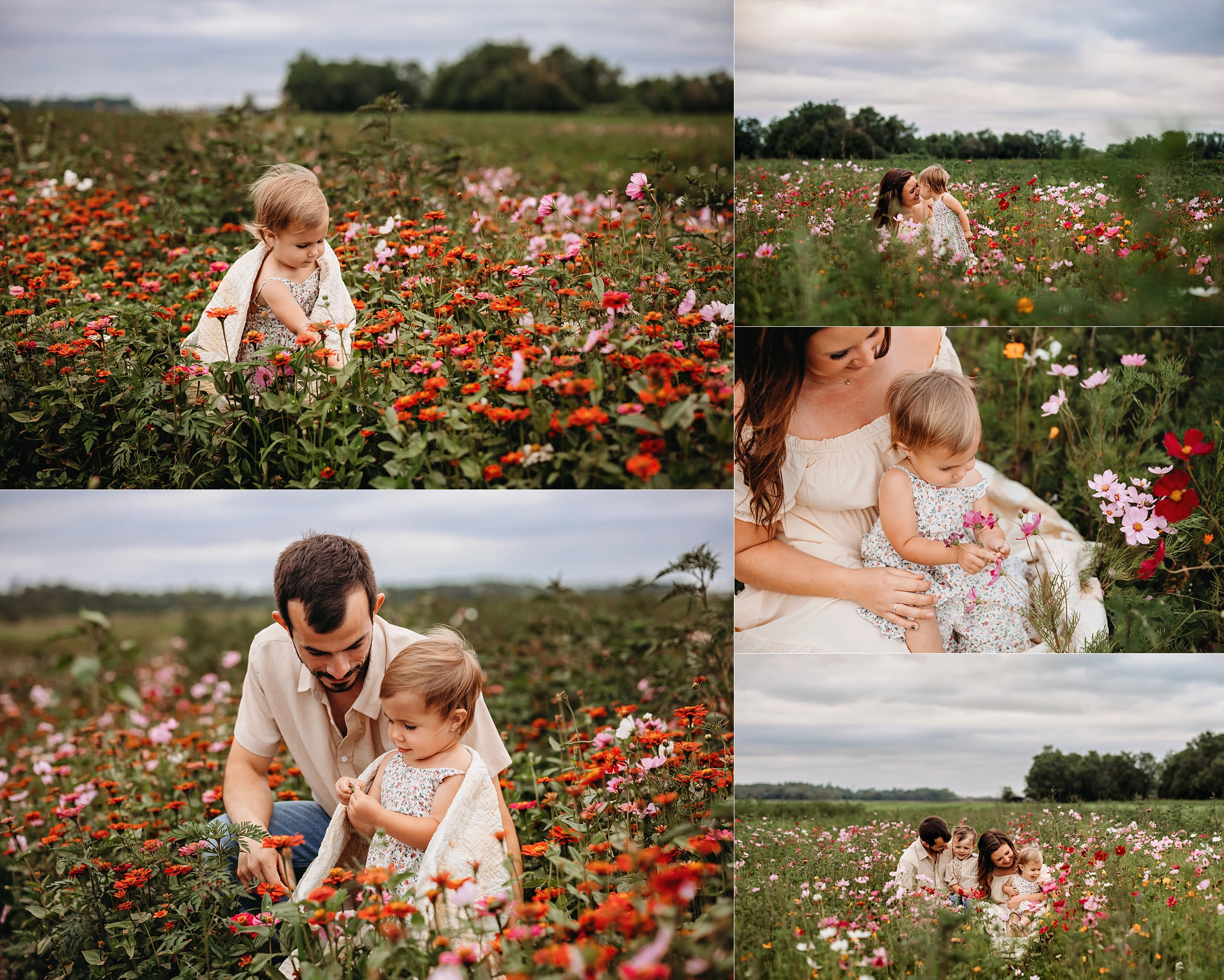 Young child exploring flowers with her parents during an overcast family session in a colorful wildflower field.