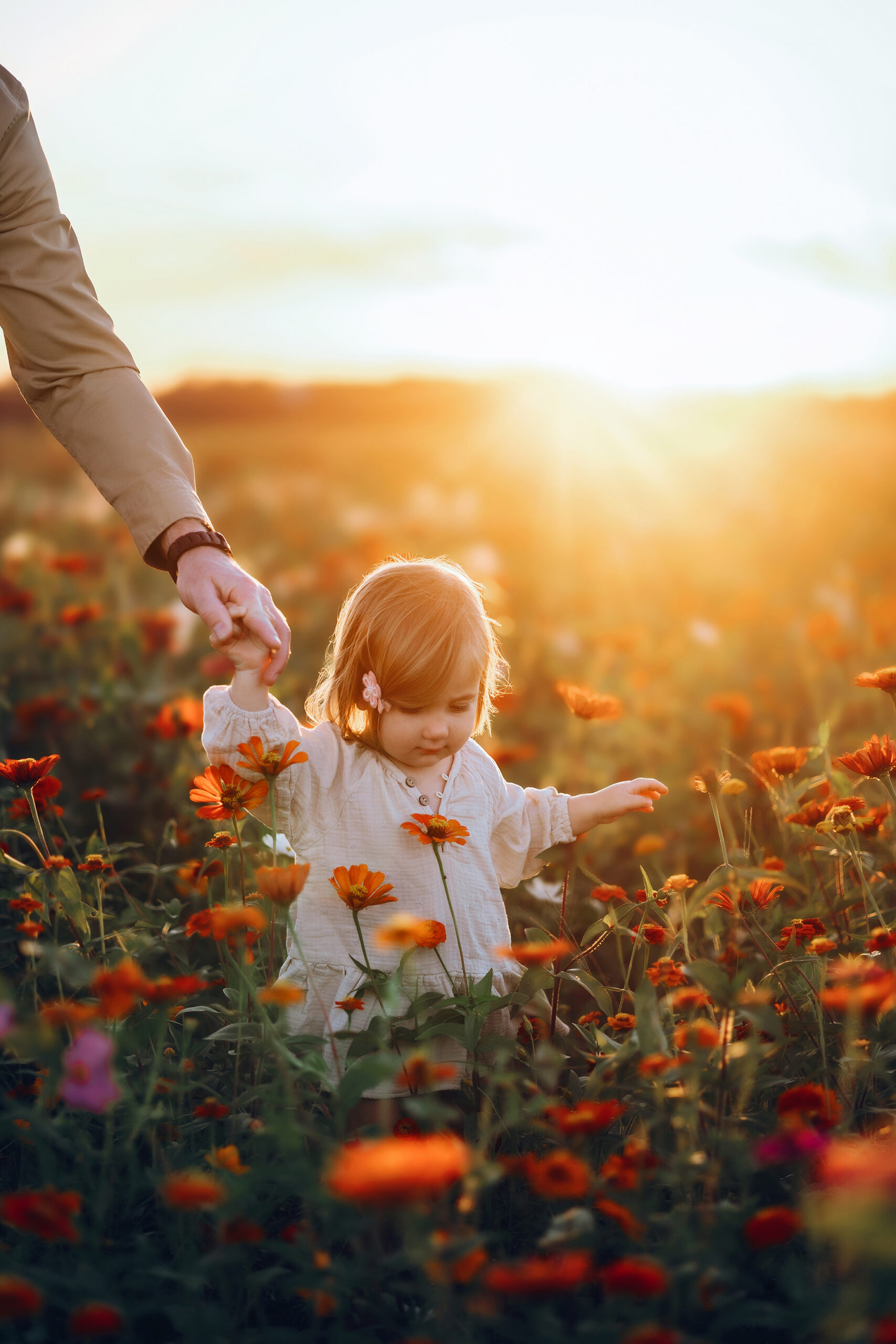 Little girl walking through wildflowers holding her dad's hand at Parker Flower Farms in St. Augustine.