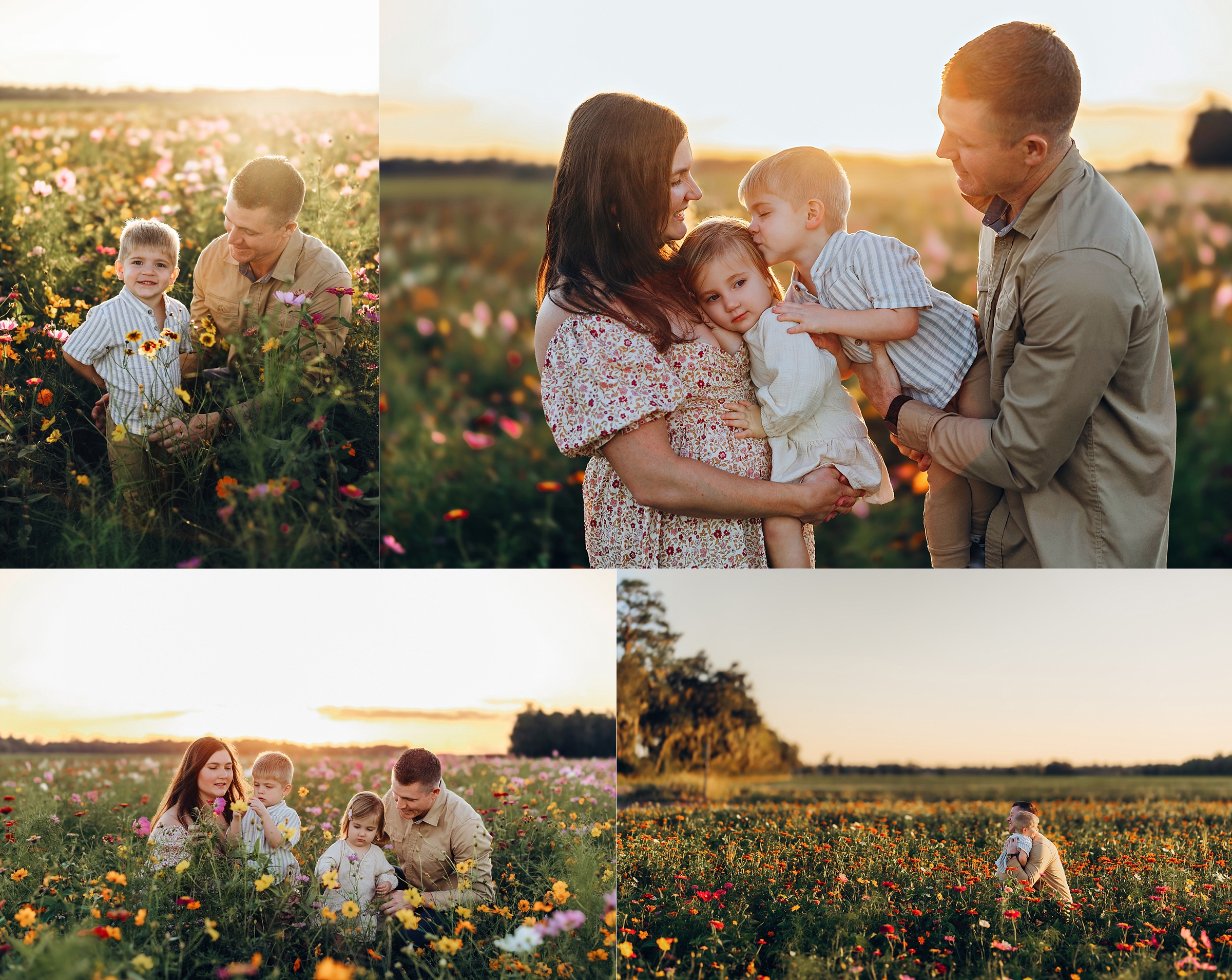 Family of four playing and cuddling together in the wildflowers at sunset at Parker Flower Farms.